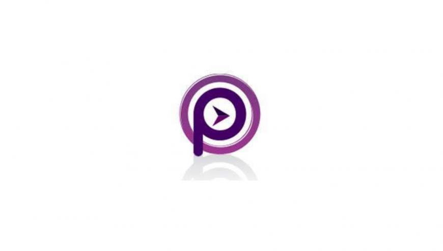 purple-flick-logo